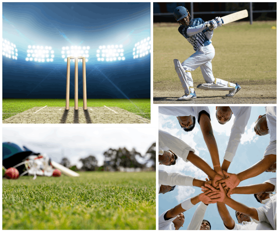 Cricket Image